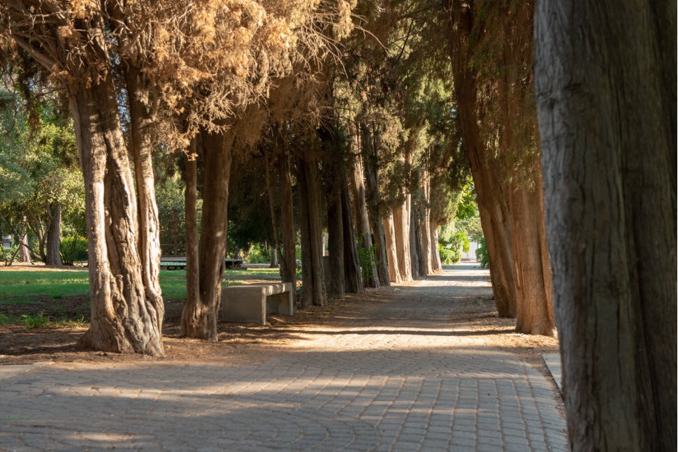 Street -  Kibbutz Mizra