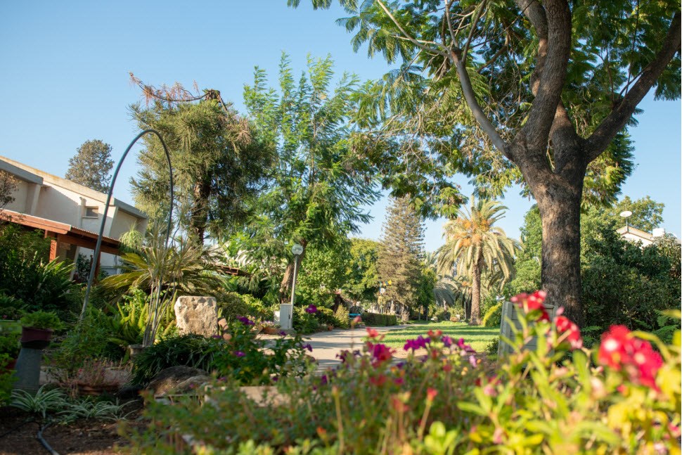 Experience The Kibbutz