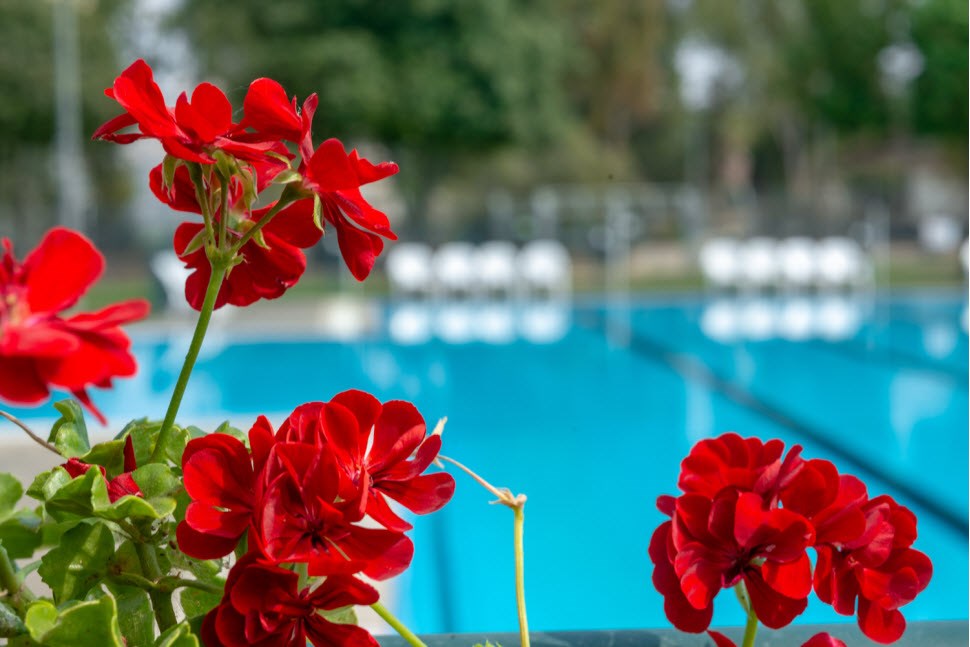  Kibbutz Mizra - Pool Outside