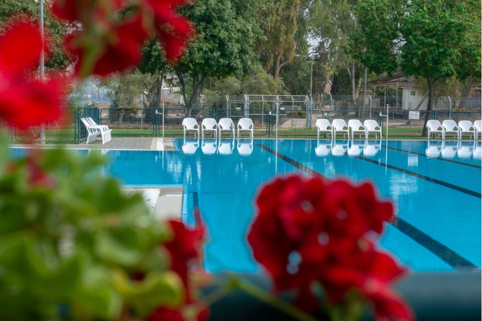 Pool in Kibbutz Mizra