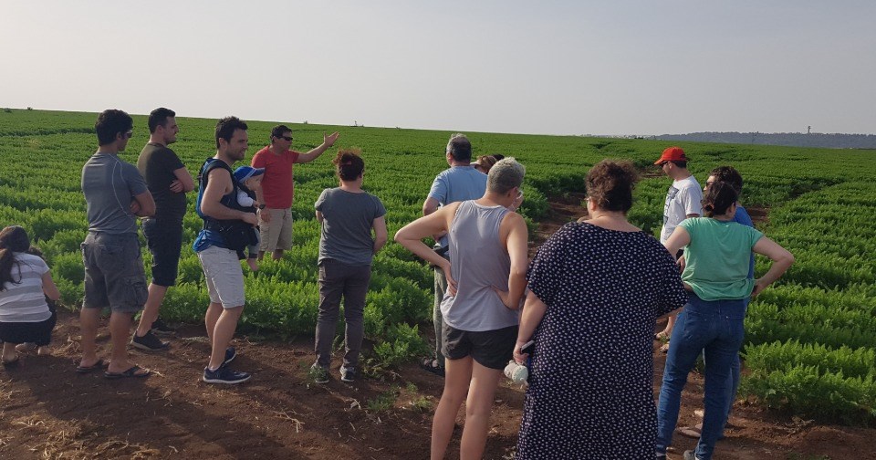 Agricultural Tour in Kibbutz Mizra