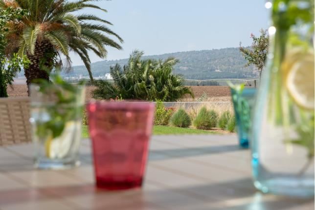 Holiday Village Kibbutz Mizra - Garden Suite with 